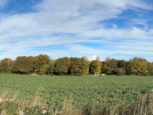 Planning - Letters to The Bridge