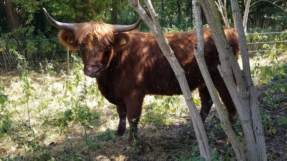 From Farm to Table