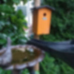 Und Wasser brauchen sie natürlich auch