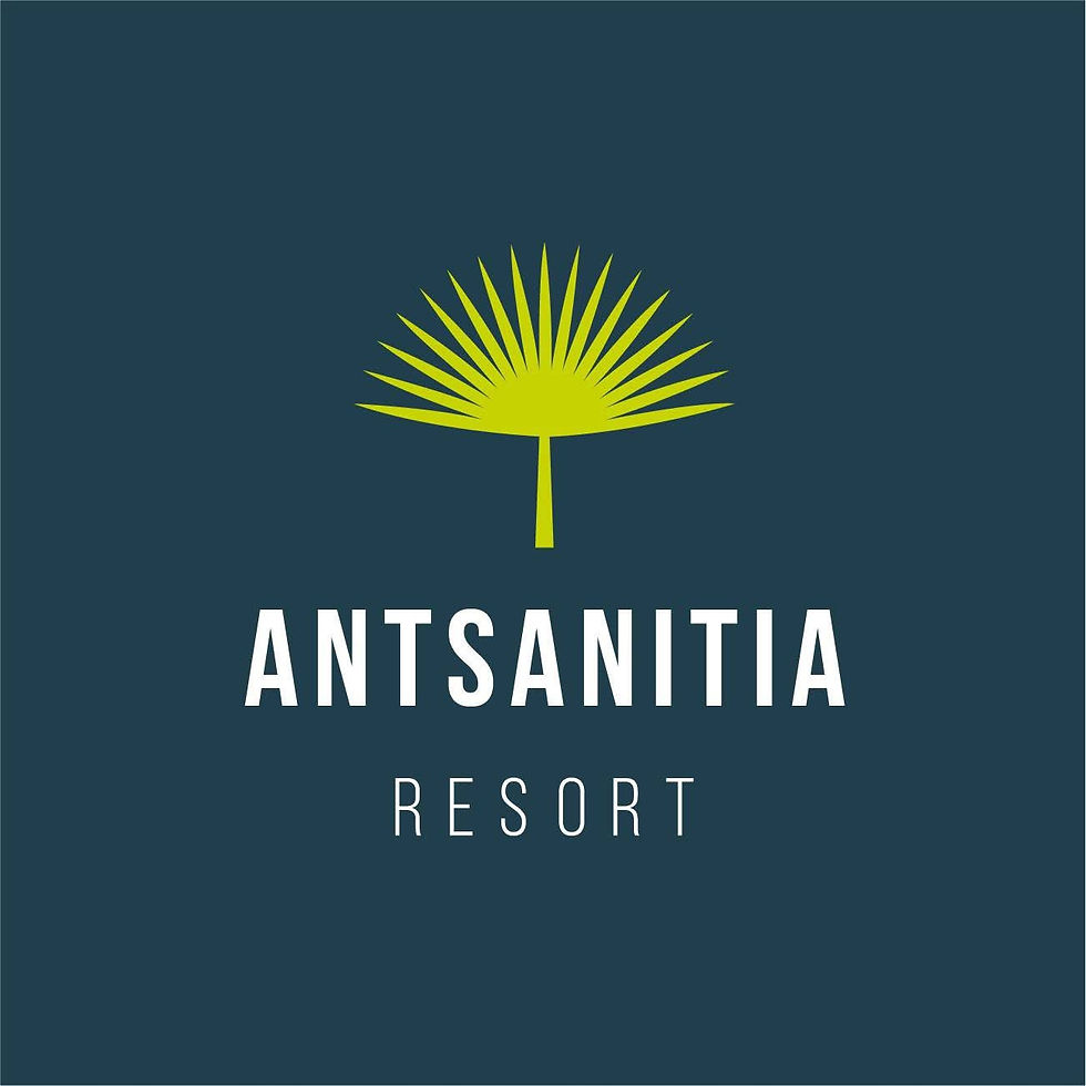 Logo Antsanitia Resort avec palmier à Madagascar