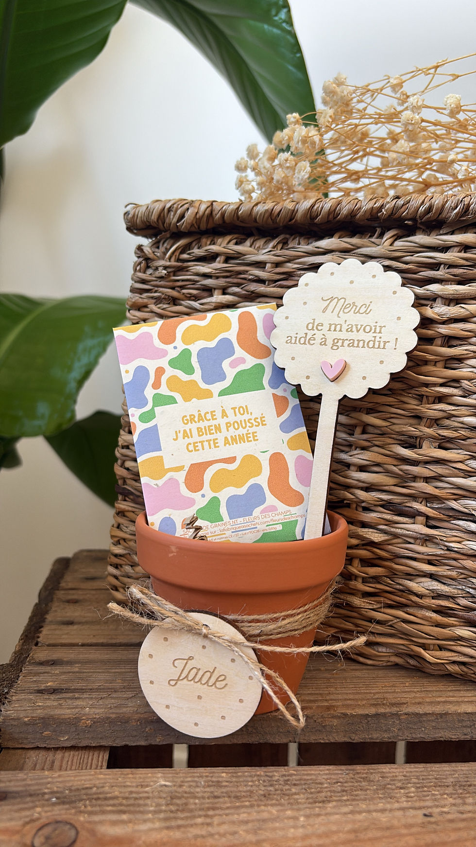 Kit à planter personnalisé « Grâce à toi, j’ai bien poussé cette année »