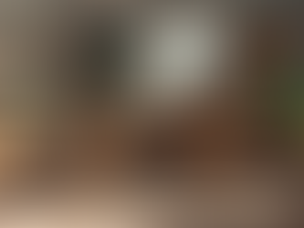 a professional office of a family historian that looks professional with hints of a family historian, boho vibe and plant lover; but really focus on the family historian.