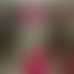 המשלוחים נתקעו בדרך - אבל הסטייל ממש לא: 3 מותגים ישראליים שמוכרים טווח מידות גדול