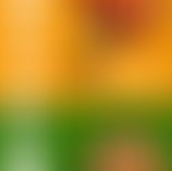 닭강점 시그니처 메뉴 매콤닭강정 간장닭강정