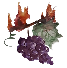 vigne logo.png