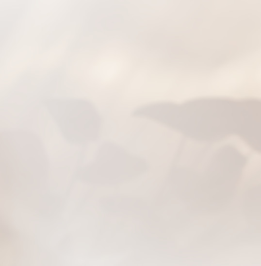 Shadowy Leaves_edited.jpg