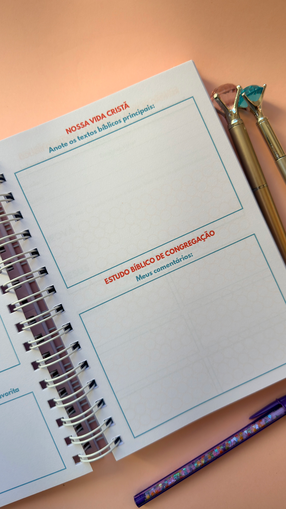 Miniatura: Caderno de Reunião Infantil