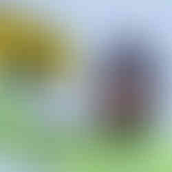 Etappenziel 4 - Hopferau