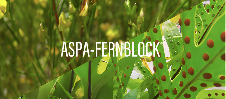 Παρουσιάζουμε το ASPA-Fernblock®: Η επόμενη γενιά στην καινοτομία αντηλιακής προστασίας