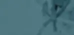 1920 x 900-Hands.webp