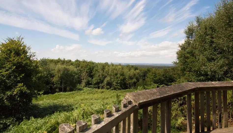 Par-monts-et-par-vaux_page_contenu_image.webp