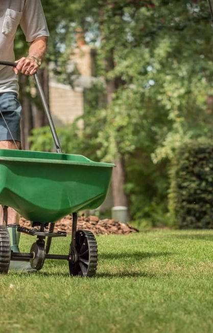 WhentoFertilize_TheToidi_Shutterstock.jpg