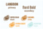 Process_FontsColors