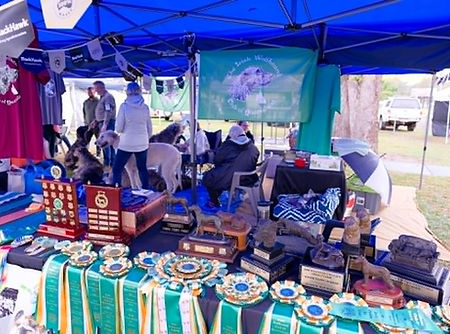 Aug 2026 Specialty show promo.jpg
