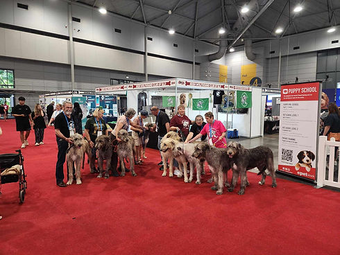 dog lovers qld.jpg
