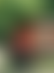 【からだのケアお試し会 in 岐阜】 後日談①