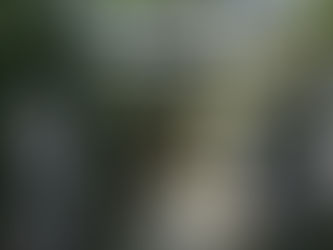  ぷち広島旅（神社編）