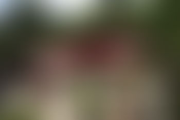  竹生島（都久夫須麻神社）