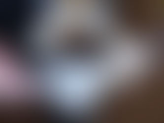 コトリ治療院のお話会。