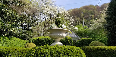 20210413_100428.jpg