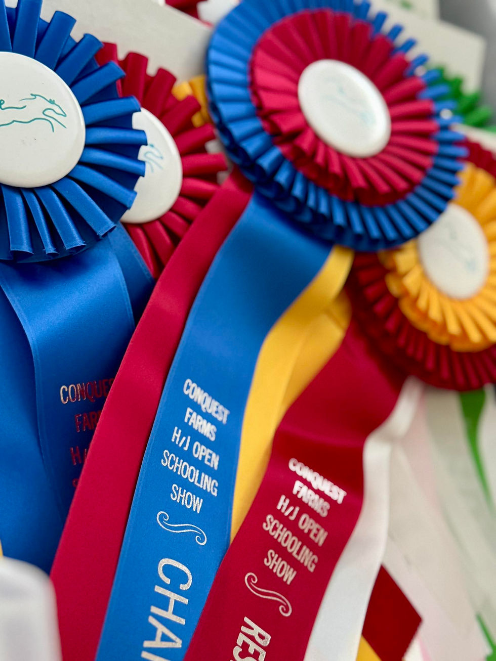 Conquest Farms LLC Horse show ribbons