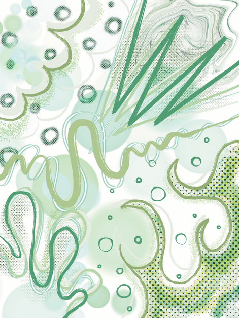 Untitled_Artwork 20.png