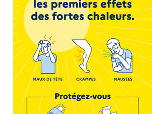 Vigilance canicule