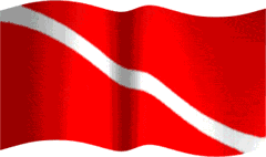 bandera.gif
