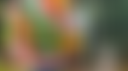 EQUADOR ABRI 22ª EDIÇÃO DA COPA DO MUNDO NO CATAR COM GOL DE PÊNALTI