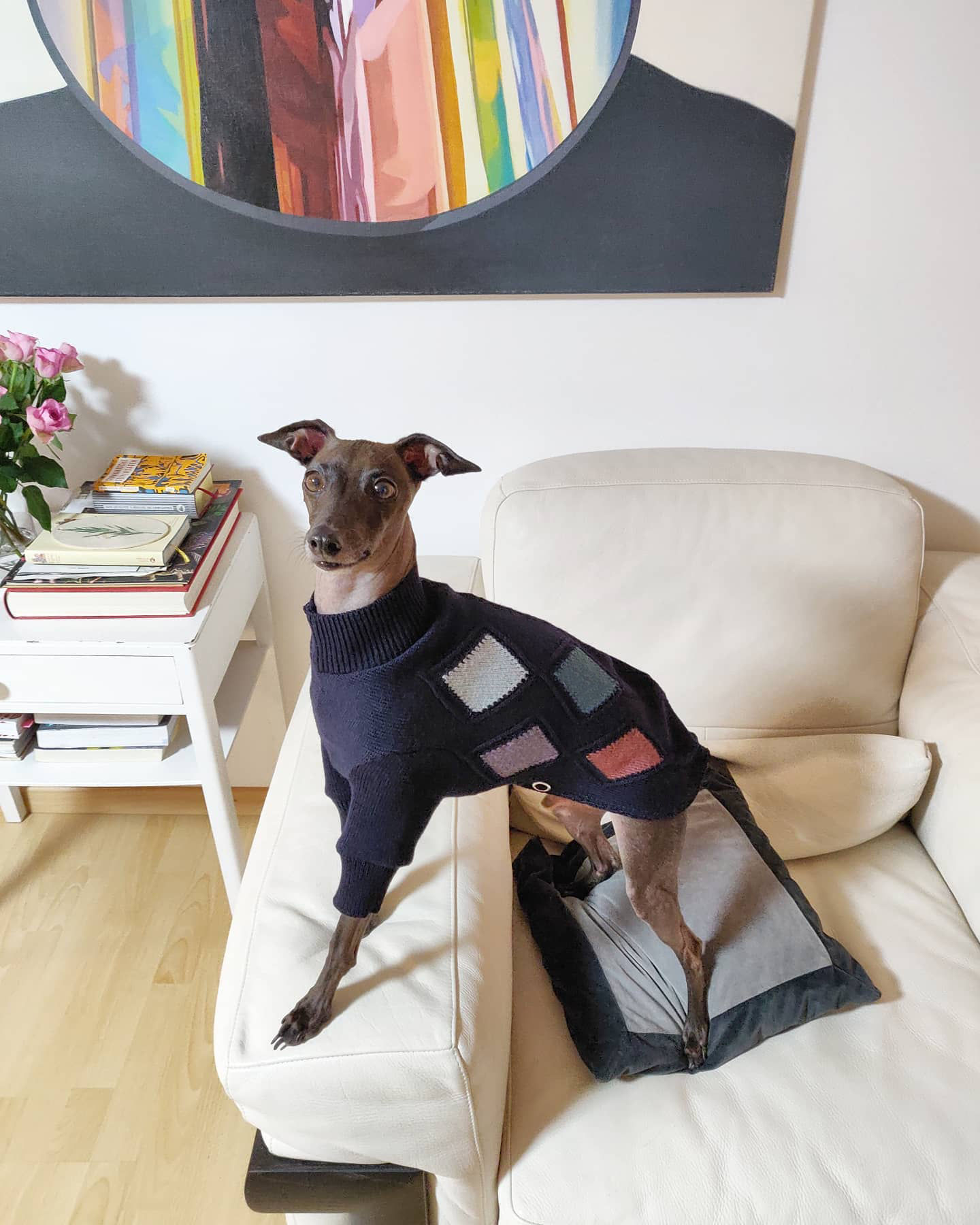 OLAF | Pullover - M-L