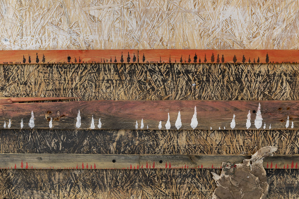 שכבות נוף 2.jpg