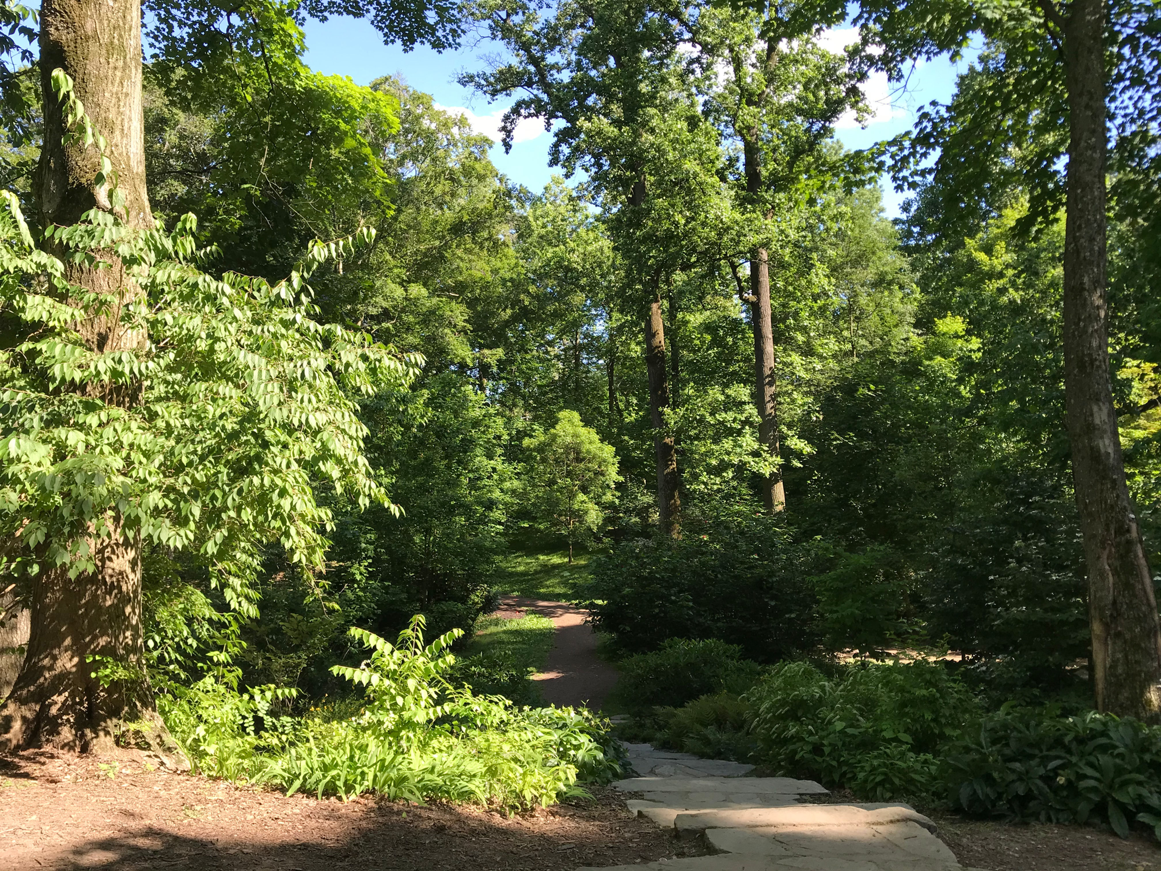 Tregaron, Washington, DC