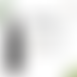 Unveiling the "Miracle Tree": Why Moringa Carrier Oil is a Must-Have in Your Beauty Ritual