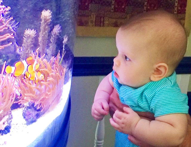 Dan's Grand Nephew Cian