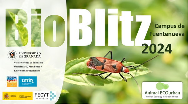 Bioblitz2024.png