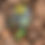 Thumbnail: Arte en piedras