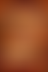 ЁЯМ╕ Falgun Ekadashi & Khatu Shyam Ji Mahotsav