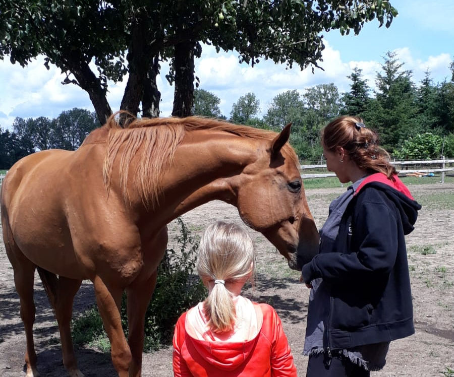 Frau und Kind mit einem braunen Pferd im Freien Cactus Radio Ranch