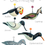 Thumbnail: Set of 5 wooden hanging birds - Coastal Birds