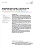 tn_BusinessIntelligence-The-Definitive-G