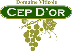 CEP DOR