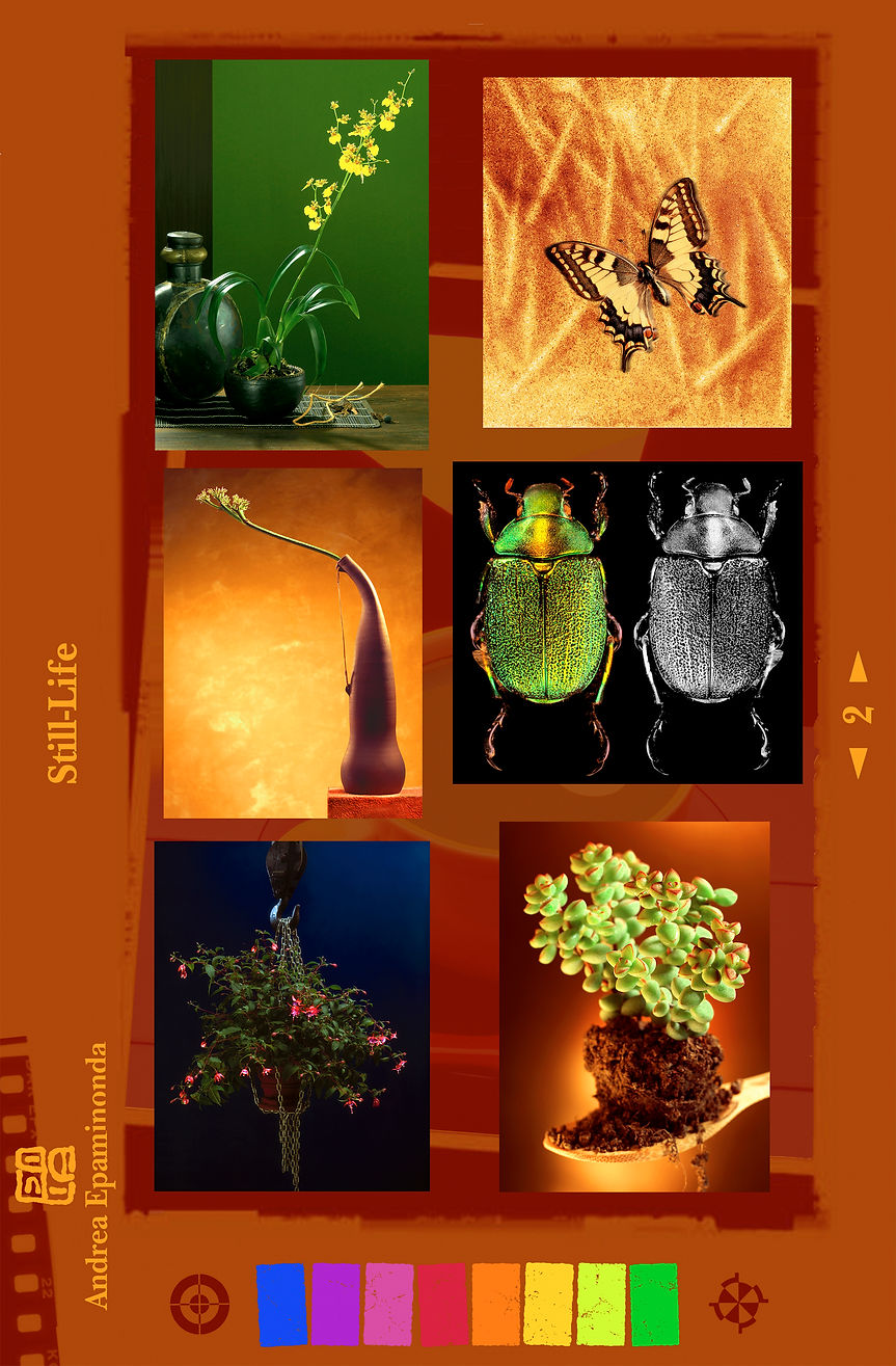pagina 14 still-life.jpg