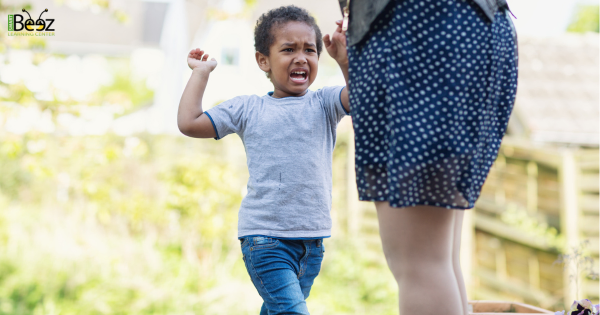 Smart Beez Child Care