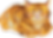 CAT.png