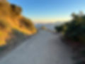 IMG_3938.jpeg