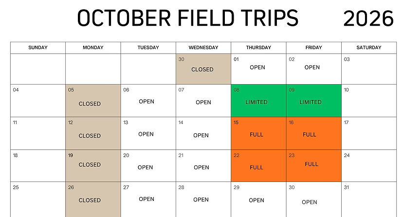 FIELD TRIP CALENDAR -37.png
