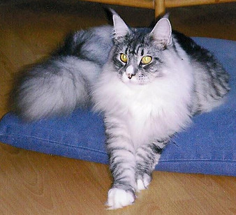 ManekaPannell.jpg