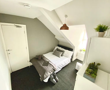 Professional House Share