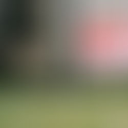 Victoria has recently introduced significant reforms to its rental laws, aimed at creating a fairer and more secure environment for renters.