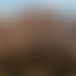 Understanding Jurisdiction in Owners Corporation Disputes: Recent Decisions Explained